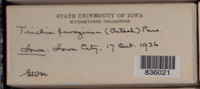 Image Associated With the Occurence